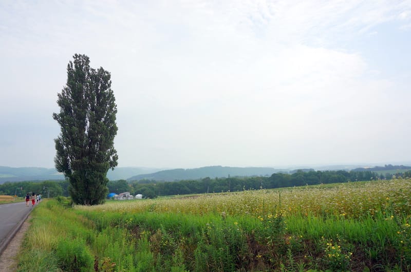 DSC05063.JPG DSC05063.JPG