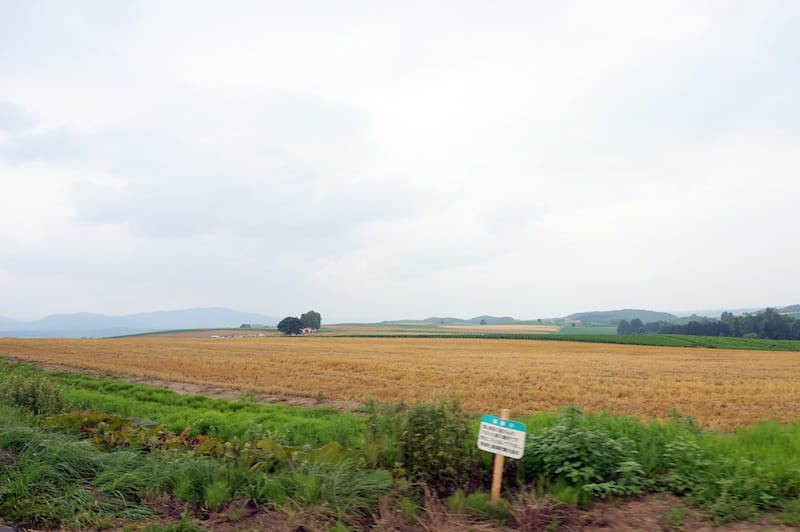 DSC05197.JPG DSC05197.JPG