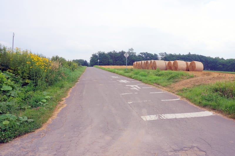 DSC05113.JPG DSC05113.JPG