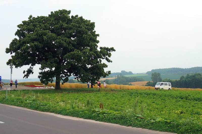 DSC05171.JPG DSC05171.JPG