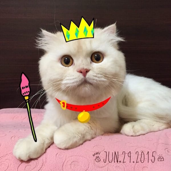 全站導覽地圖想快速尋找本網誌的文章請歡迎光臨!