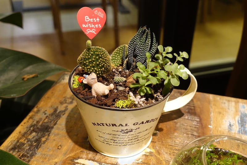 DSC00775.JPG DSC00775.JPG