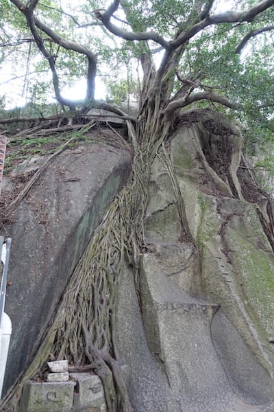 DSC01631.JPG DSC01631.JPG