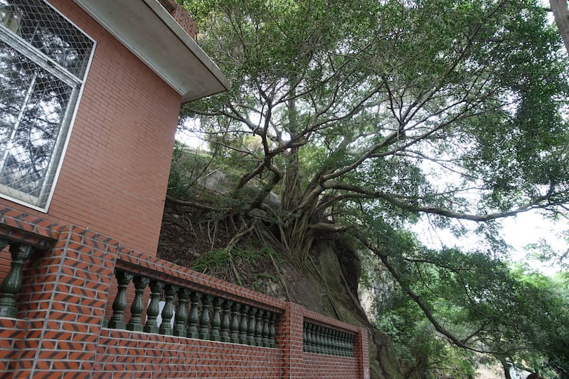 DSC01630.JPG DSC01630.JPG