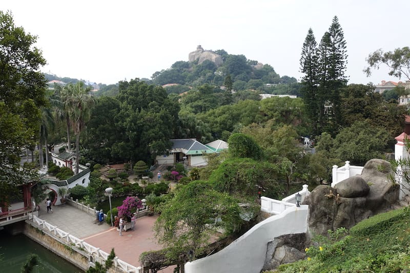 DSC01716.JPG DSC01716.JPG