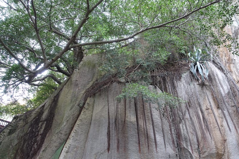 DSC01633.JPG DSC01633.JPG