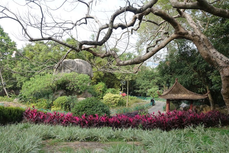 DSC01674.JPG DSC01674.JPG