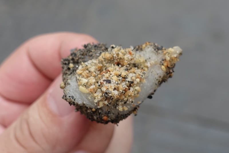 DSC01862.JPG DSC01862.JPG