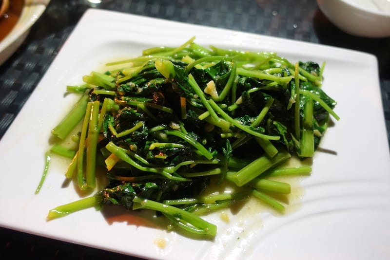 DSC01910.JPG DSC01910.JPG