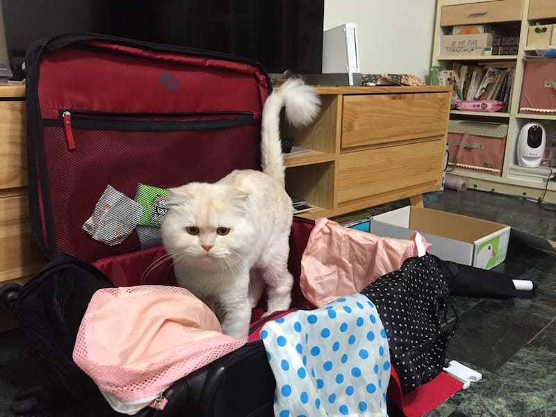 IMG_6333.jpg IMG_6333.jpg