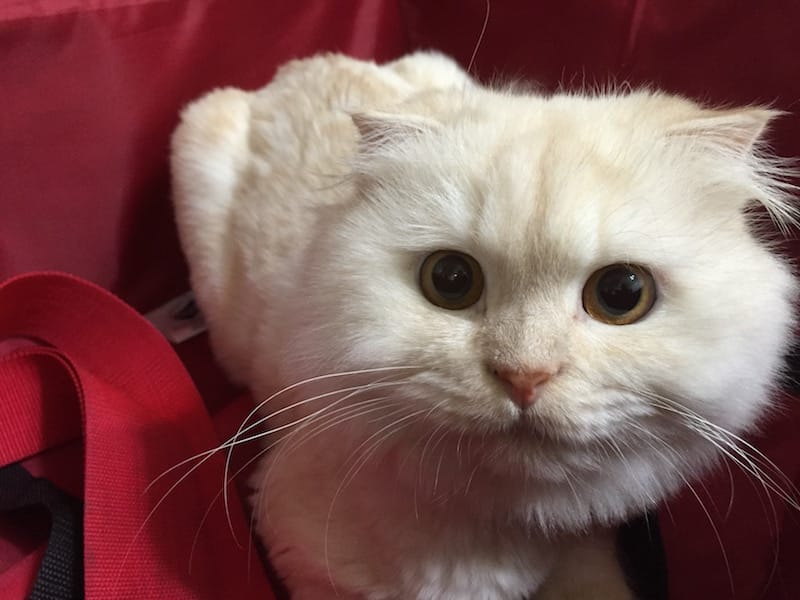 IMG_1057.JPG IMG_1057.JPG