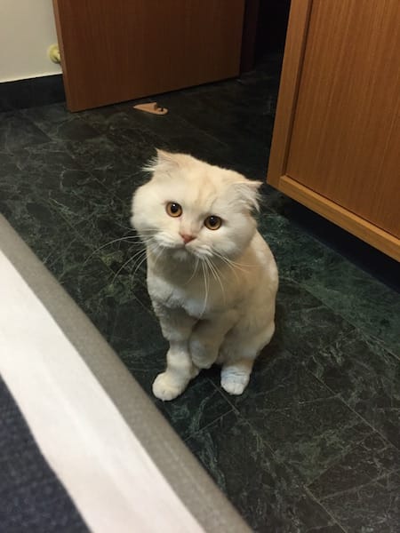 IMG_5221.jpg IMG_5221.jpg