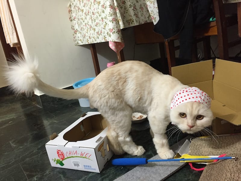 IMG_5294.jpg IMG_5294.jpg