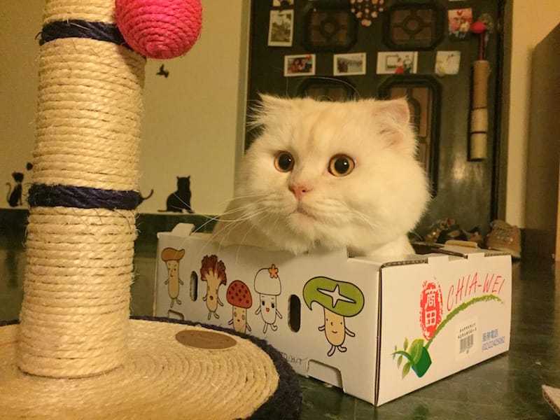 IMG_5111.jpg IMG_5111.jpg