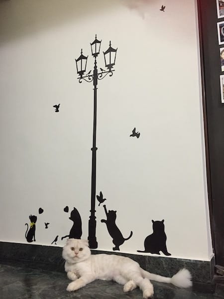 IMG_5057.jpg IMG_5057.jpg