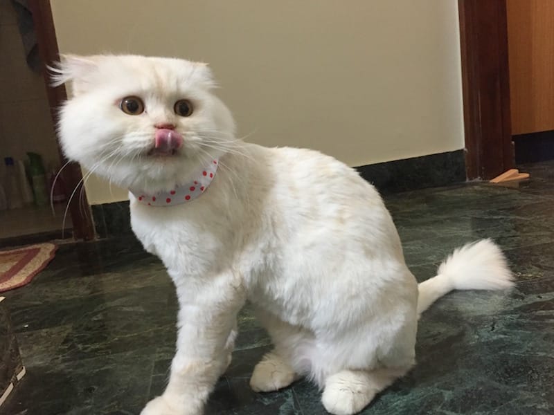 IMG_5298.jpg IMG_5298.jpg