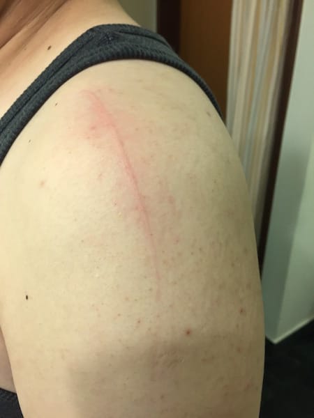 IMG_5065.jpg IMG_5065.jpg