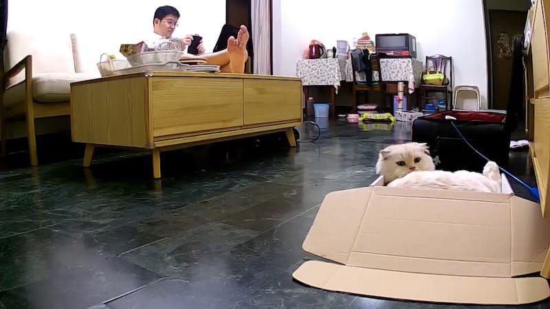 IMG_5382.jpg IMG_5382.jpg