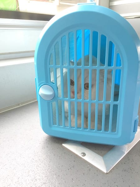 IMG_0171.jpg IMG_0171.jpg