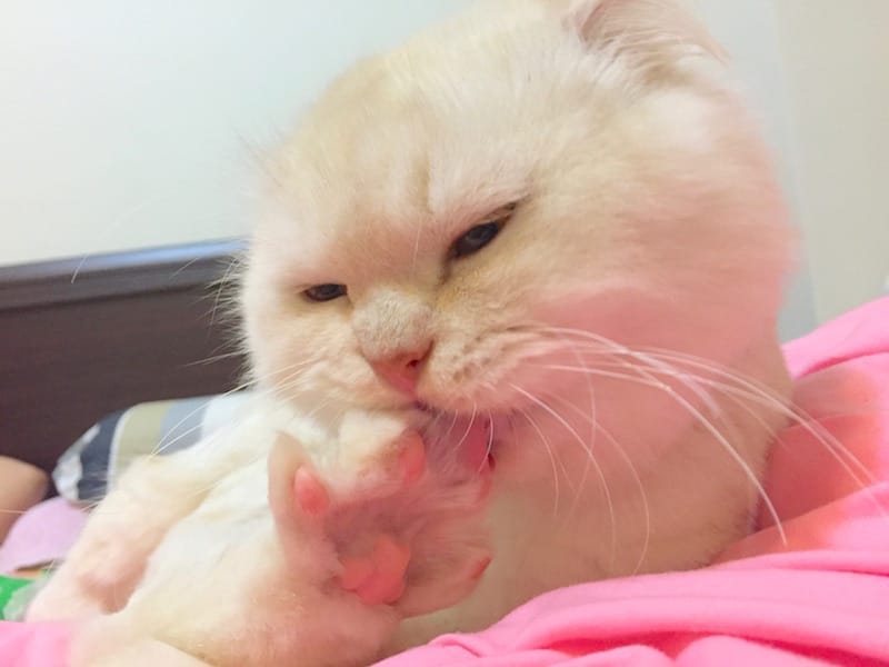 IMG_5318.jpg IMG_5318.jpg