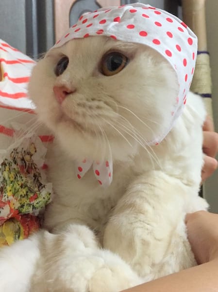 IMG_5287.jpg IMG_5287.jpg