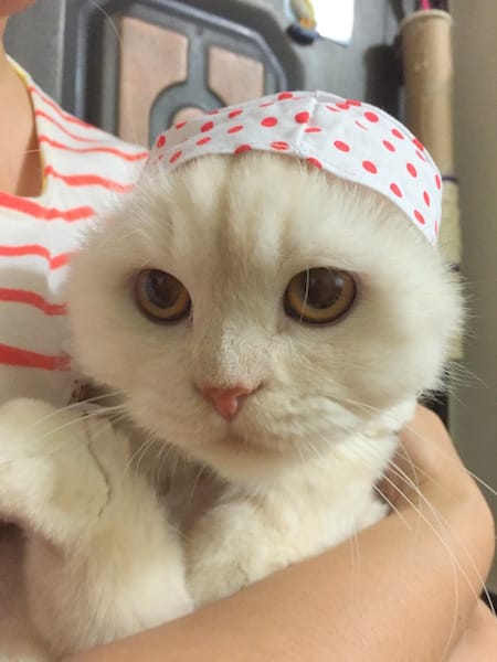 IMG_5285.jpg IMG_5285.jpg