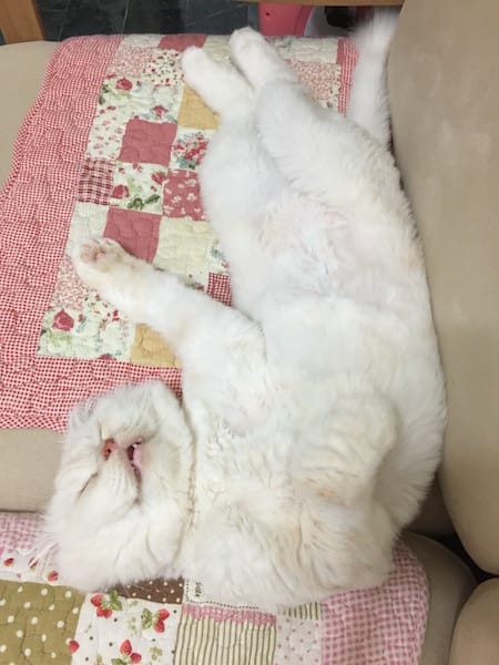 IMG_5355.jpg IMG_5355.jpg