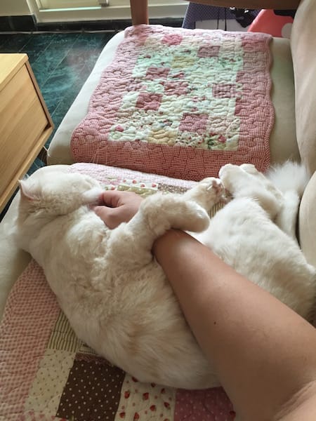 IMG_5267.jpg IMG_5267.jpg