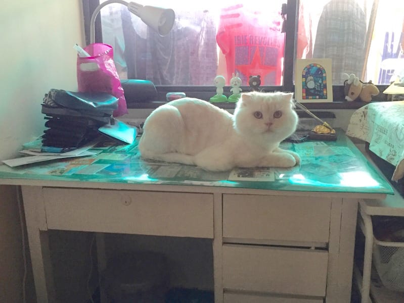 IMG_5117.jpg IMG_5117.jpg