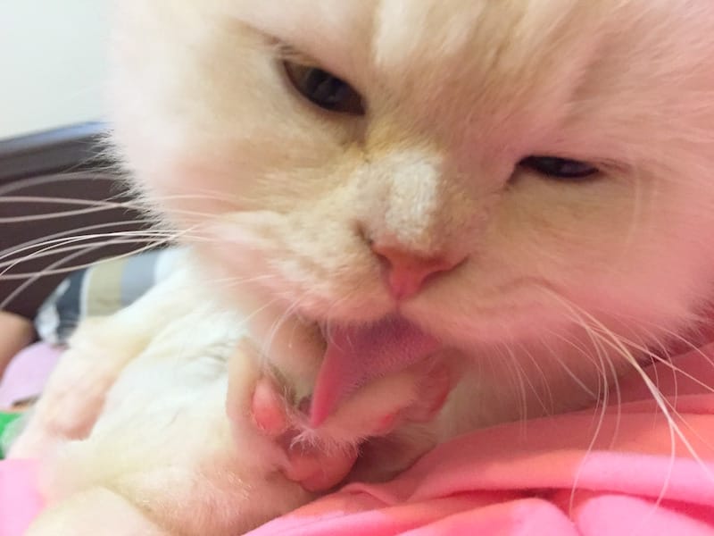 IMG_5317.jpg IMG_5317.jpg