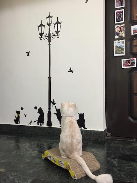 IMG_5045.jpg IMG_5045.jpg