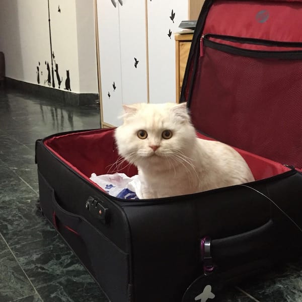 IMG_5380.jpg IMG_5380.jpg