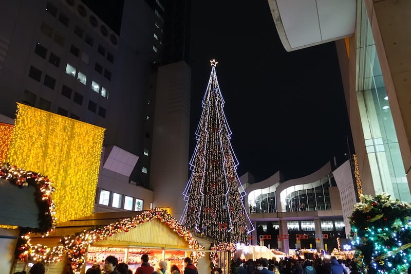 DSC02553.JPG DSC02553.JPG