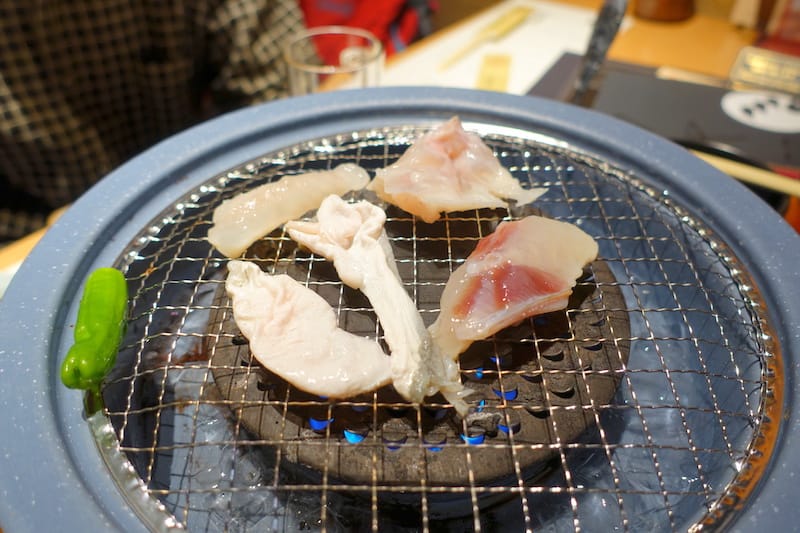 DSC02595.JPG DSC02595.JPG