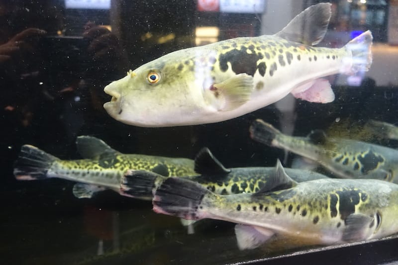 DSC02616.JPG DSC02616.JPG