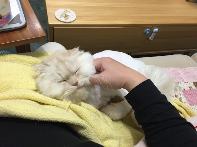 IMG_9873.jpg IMG_9873.jpg