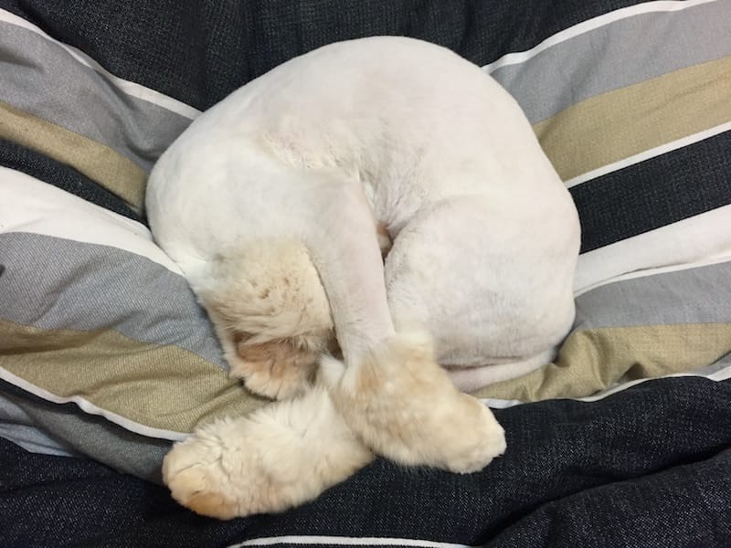 IMG_9878.jpg IMG_9878.jpg