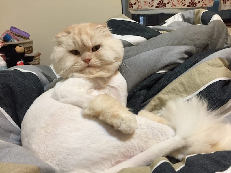 IMG_3927.jpg IMG_3927.jpg