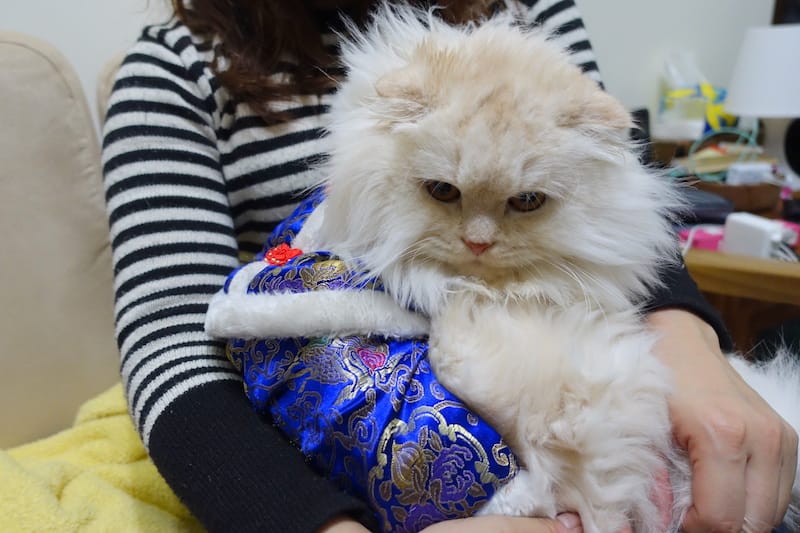 DSC06585.JPG DSC06585.JPG