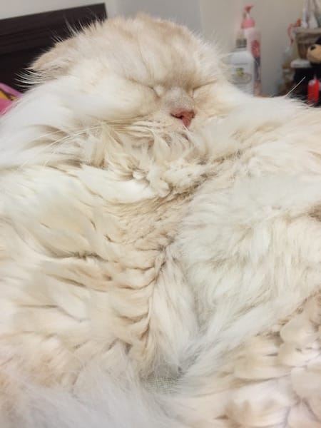 IMG_9003.jpg IMG_9003.jpg