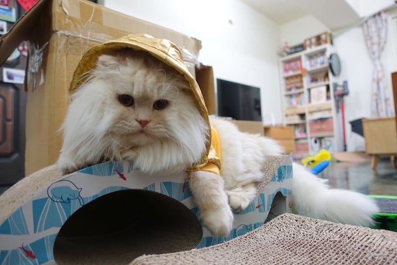 DSC06567.JPG DSC06567.JPG