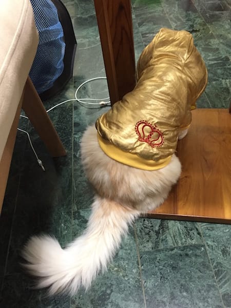 IMG_9137.jpg IMG_9137.jpg