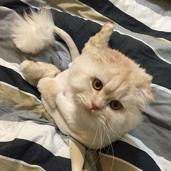 JAZU2121.jpg JAZU2121.jpg