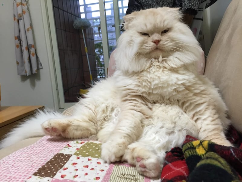 IMG_3461.jpg IMG_3461.jpg