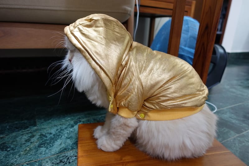 DSC06558.JPG DSC06558.JPG