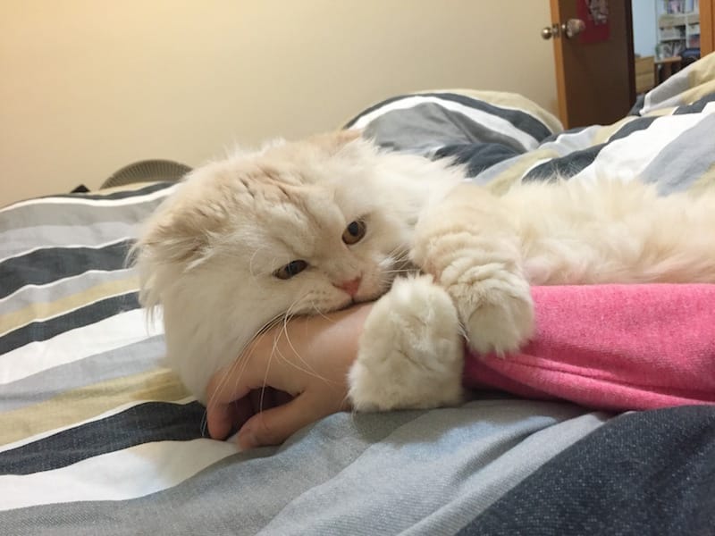 IMG_3538.jpg IMG_3538.jpg