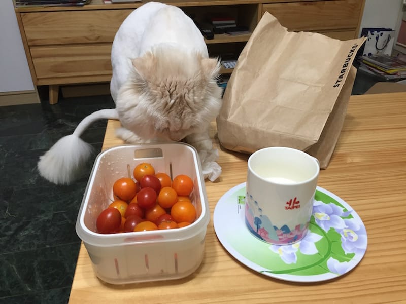 IMG_3938.jpg IMG_3938.jpg