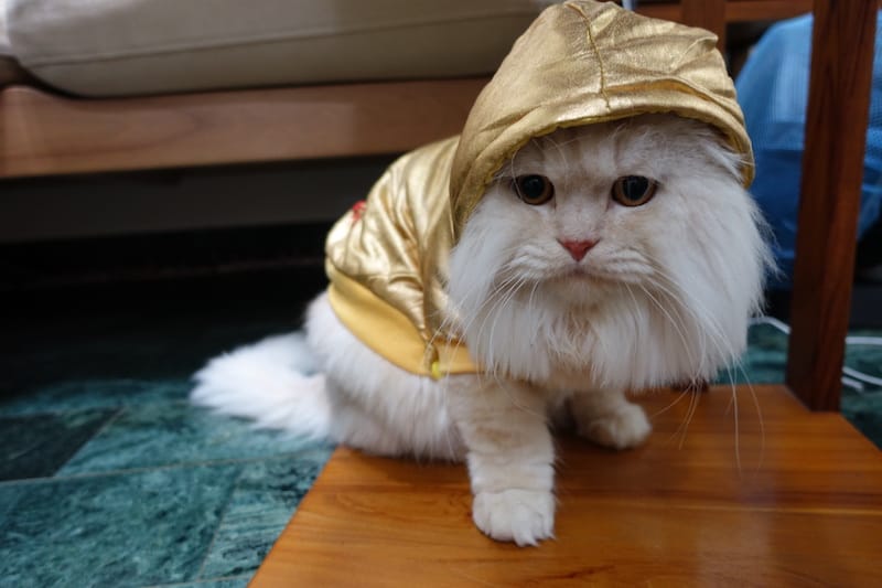 DSC06562.JPG DSC06562.JPG