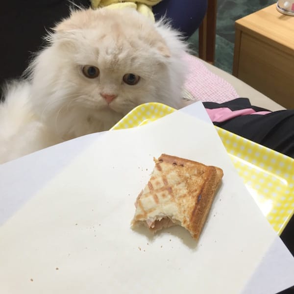 IMG_3548.jpg IMG_3548.jpg