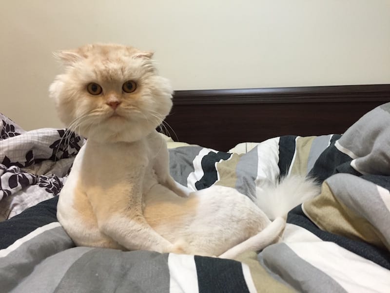 IMG_3925.jpg IMG_3925.jpg